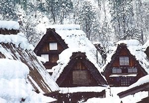 「風雪に耐える」（白川郷）撮影　谷口　良三氏