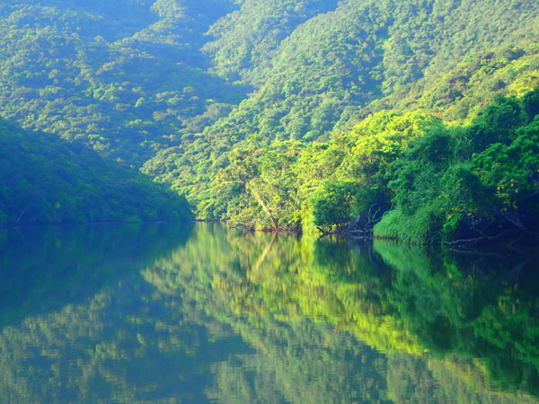 「水鏡」　撮影 西表島ウォーターマン 徳岡大之さん